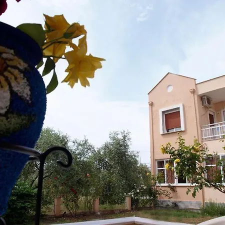 Amarilia Aparthotel Skala Rachoni (Thasos)