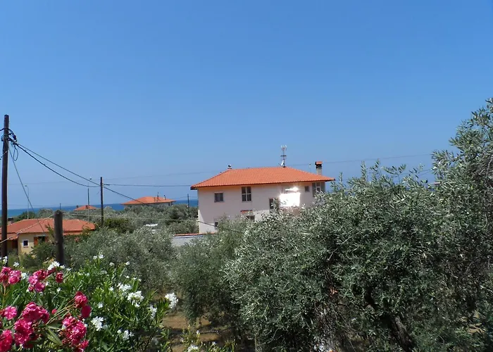 Amarilia Skala Rachoni (Thasos)