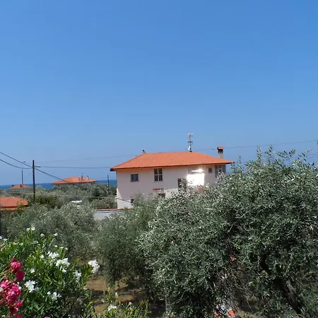 Amarilia Скала-Рахониу