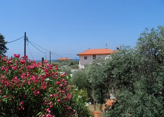 Apart Otel Amarilia 3*